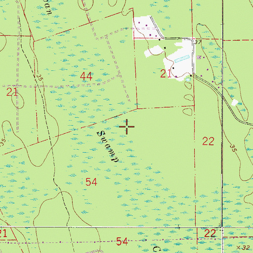 Topographic Map of Cowan Swamp, FL