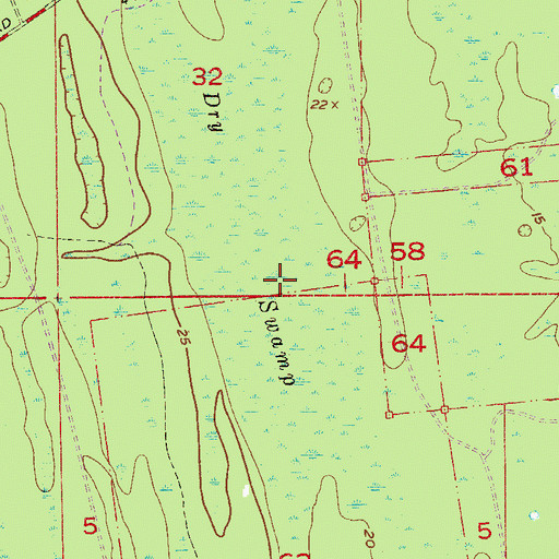 Topographic Map of Dry Swamp, FL