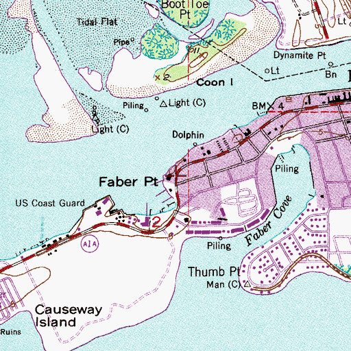 Topographic Map of Faber Point, FL