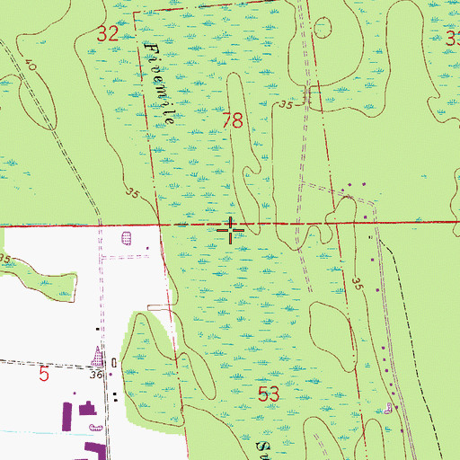 Topographic Map of Fivemile Swamp, FL
