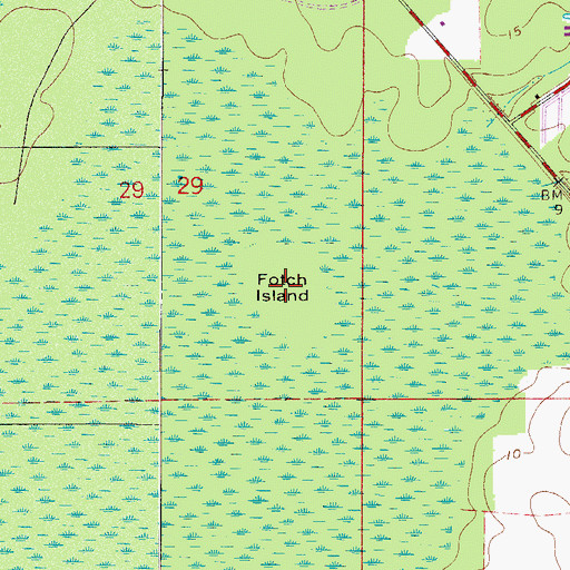 Topographic Map of Fotch Island, FL