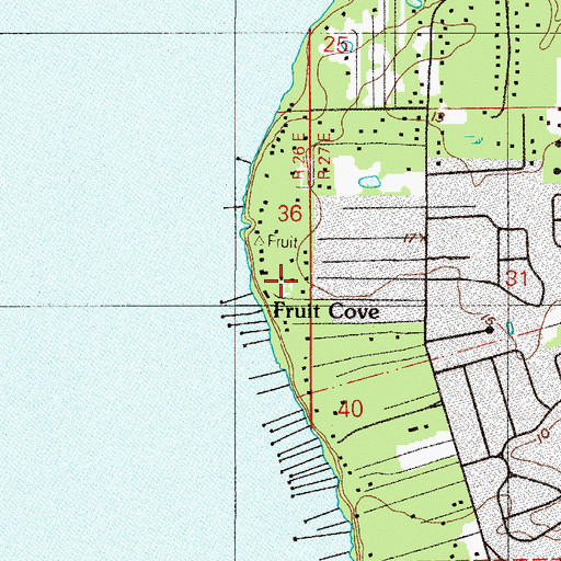 Topographic Map of Fruit Cove, FL