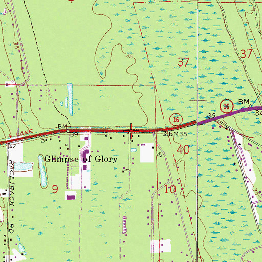 Topographic Map of Glimpse of Glory, FL