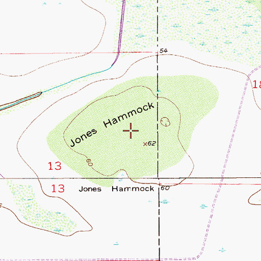 Topographic Map of Jones Hammock, FL