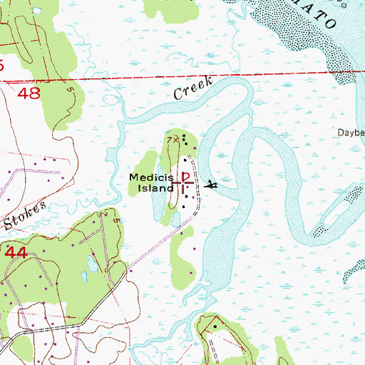 Topographic Map of Medicis Island, FL