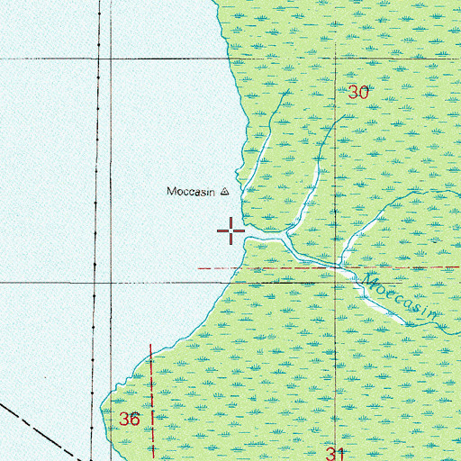 Topographic Map of Moccasin Branch, FL