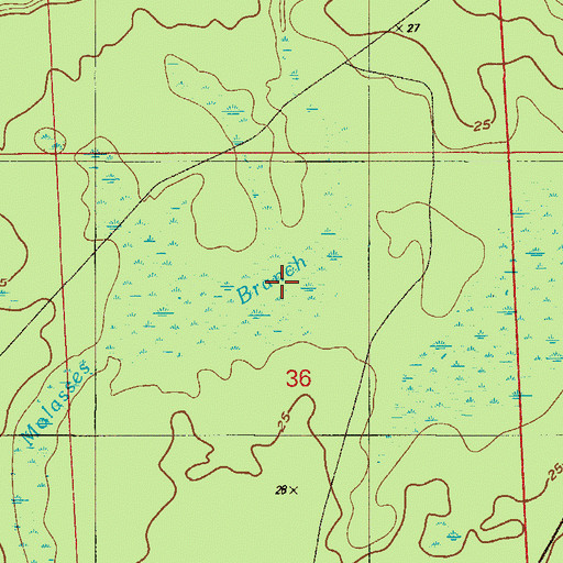 Topographic Map of Molasses Branch, FL