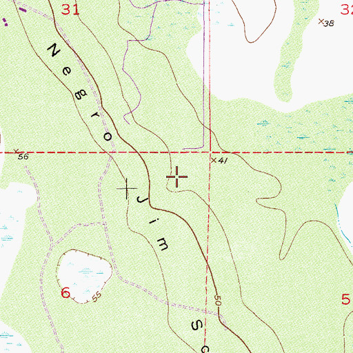 Topographic Map of Negro Jim Scrub, FL