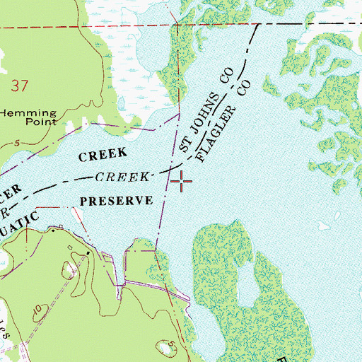 Topographic Map of Pellicer Creek, FL