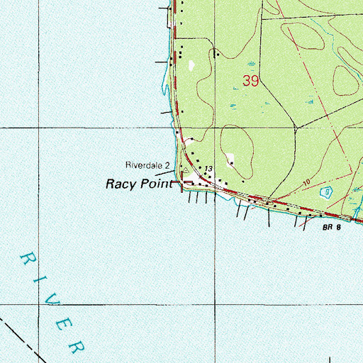 Topographic Map of Racy Point, FL
