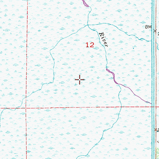 Topographic Map of Saint Johns Marsh, FL