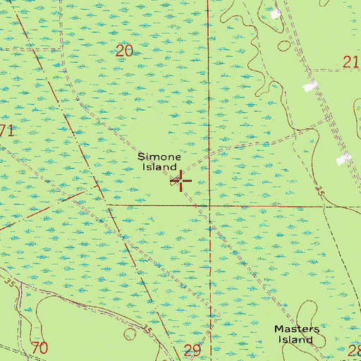 Topographic Map of Simone Island, FL
