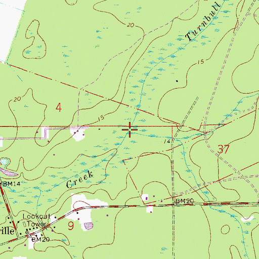 Topographic Map of Town Branch, FL