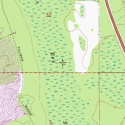 Topographic Map of Trestle Bay Swamp, FL