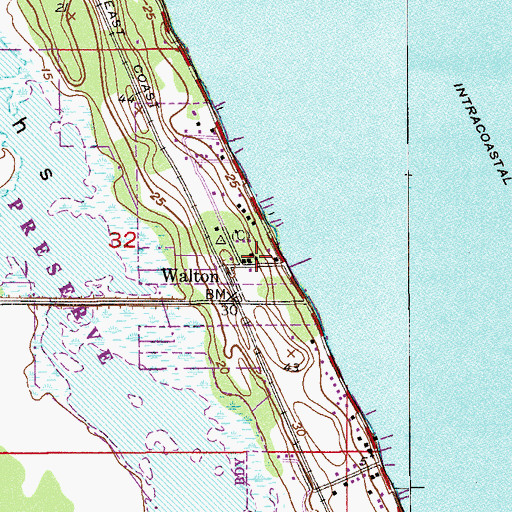 Topographic Map of Walton, FL
