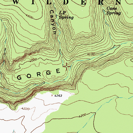 Topographic Map of L P Canyon, AZ