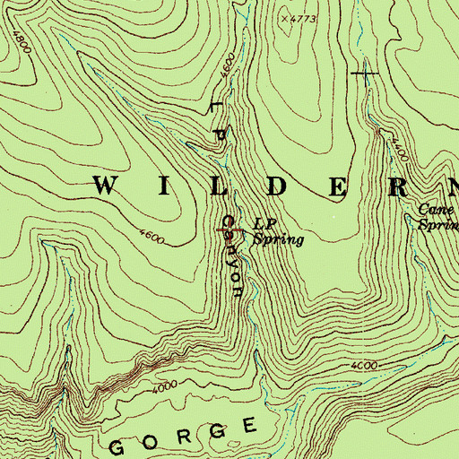 Topographic Map of L P Spring, AZ