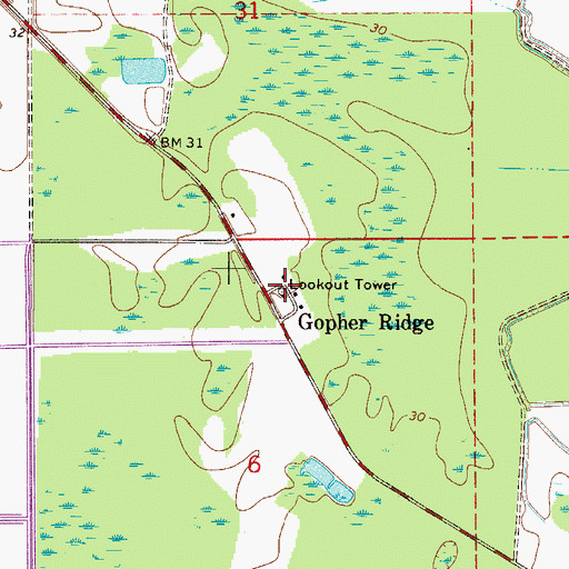 Topographic Map of Gopher Ridge Tower, FL