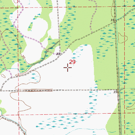 Topographic Map of Big Fish Tail Swamp, FL