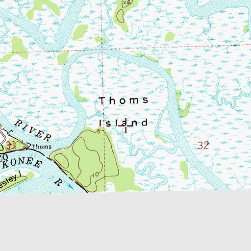Topographic Map of Thoms Island, FL