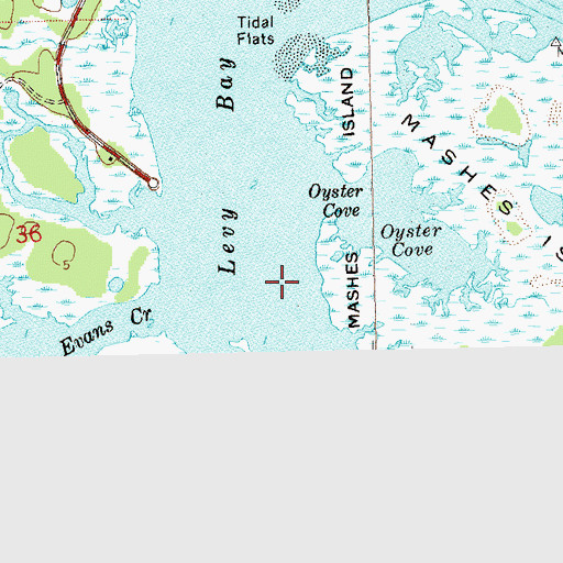 Topographic Map of Levy Bay, FL