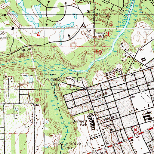 Topographic Map of Mount Olive Cemetery, FL