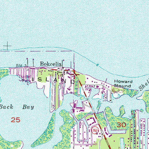 Topographic Map of Pine Island Elementary School, FL