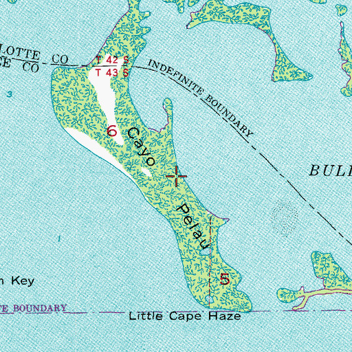 Topographic Map of Cayo Pelau, FL