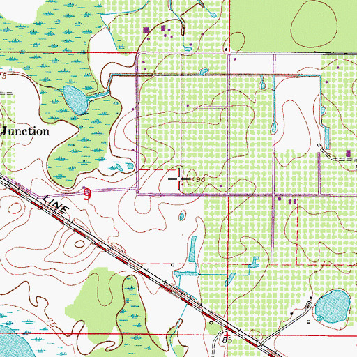 Topographic Map of Lake County, FL