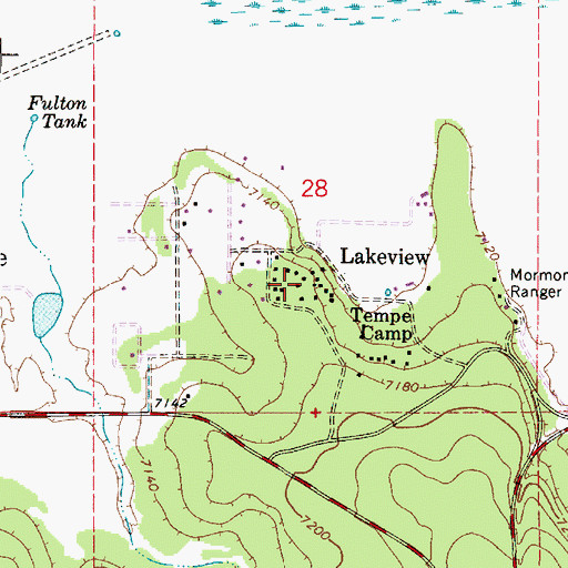 Topographic Map of Lakeview, AZ