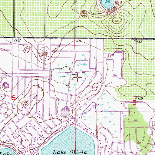 Topographic Map of Lake Arcola, FL