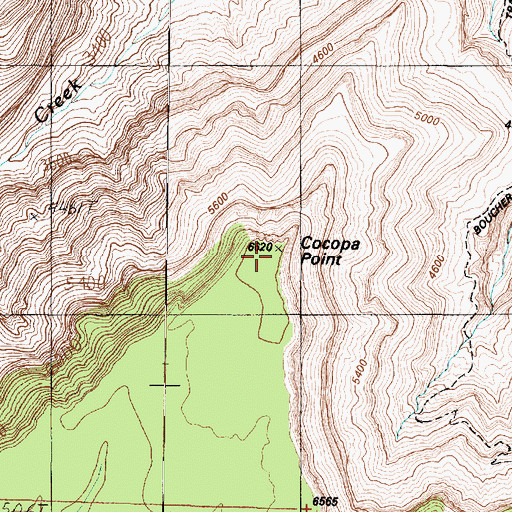 Topographic Map of Cocopa Point, AZ