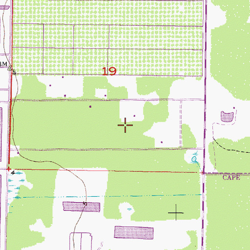 Topographic Map of WDCQ-AM (Pine Island Center), FL