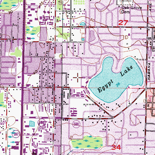 Topographic Map of WDAE-AM (Tampa), FL