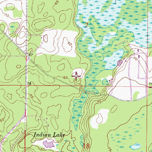Topographic Map of WWGO-FM (Silver Springs), FL