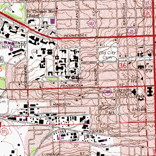 Topographic Map of WVFS-FM (Tallahassee), FL