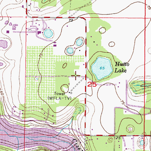 Topographic Map of WFLZ-FM (Tampa), FL