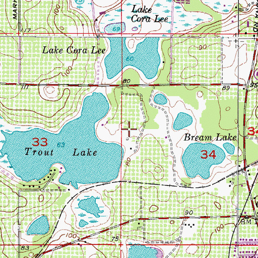 Topographic Map of Carter Airport, FL