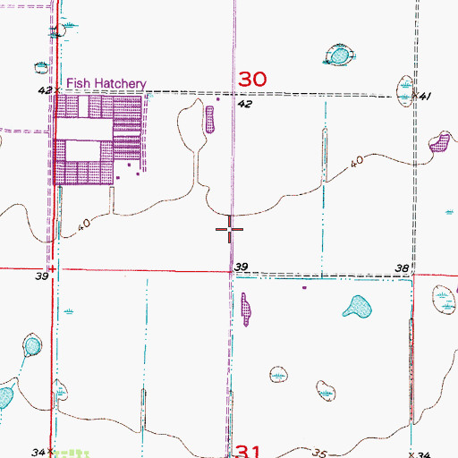 Topographic Map of Hennessy Airport, FL