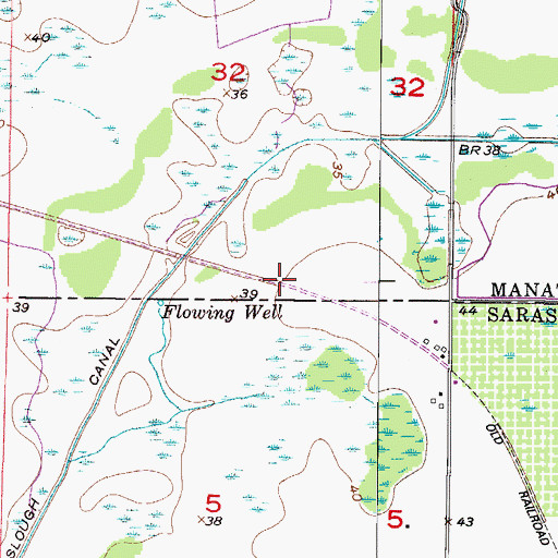 Topographic Map of Carlton Ranch-Sidell Airport (historical), FL