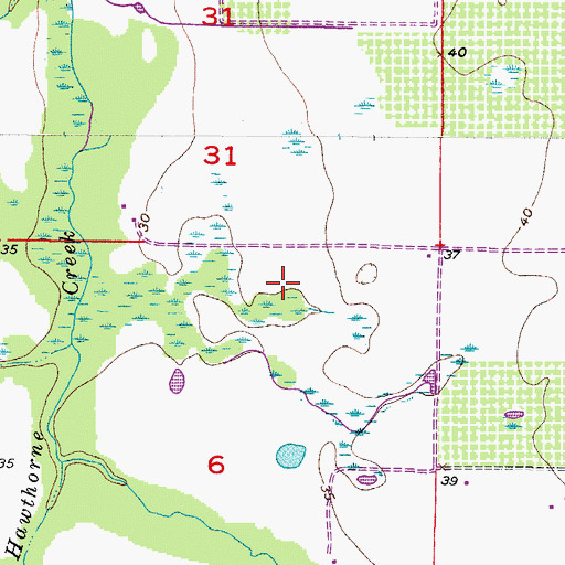 Topographic Map of Carlstrom Field, FL