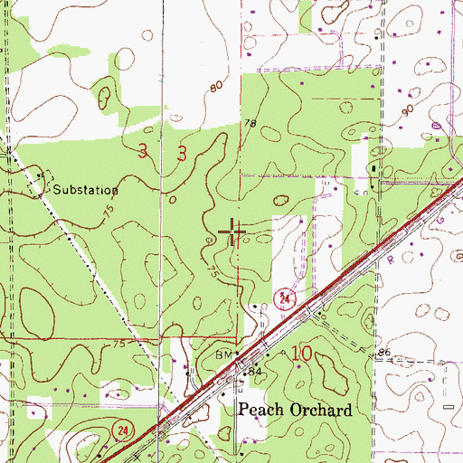 Topographic Map of Peach Orchard Airport, FL