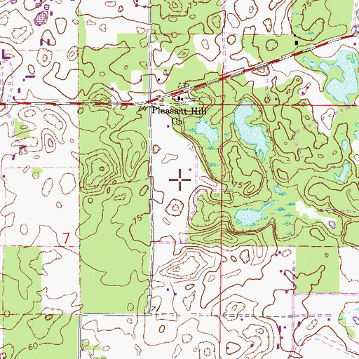 Topographic Map of Flying Harness Farms Airport, FL
