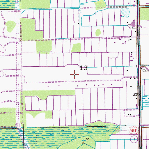 Topographic Map of Willis Gliderport, FL
