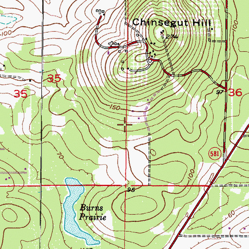 Topographic Map of Chinsegut Airport, FL