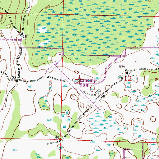 Topographic Map of Royal Trails Airport (historical), FL