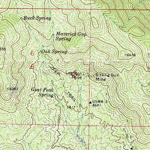 Topographic Map of Leghorn Mine, AZ