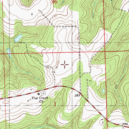 Topographic Map of Flat Creek Airport, FL