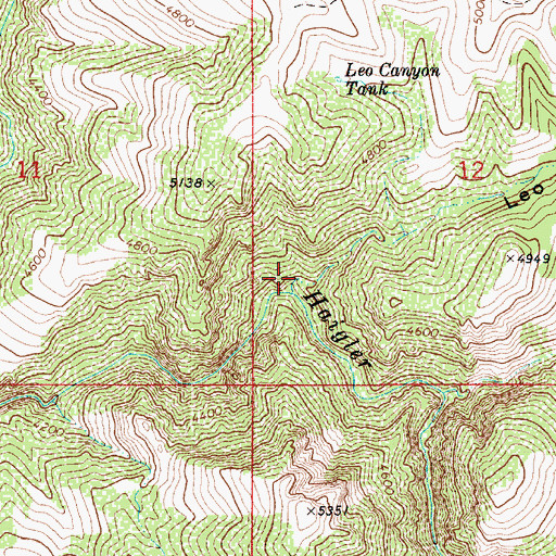 Topographic Map of Leo Canyon, AZ