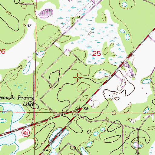 Topographic Map of Twelve Oaks Airport, FL